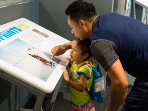 HIPPY-Perot w-17